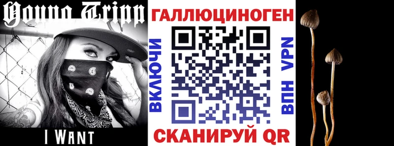 Галлюциногенные грибы Cubensis  Змеиногорск 